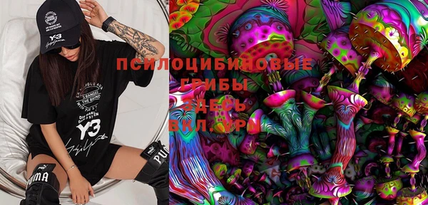 винт Армянск