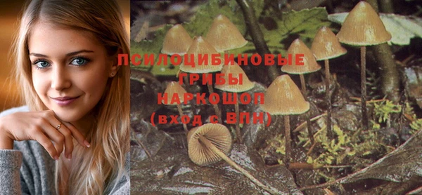 не бодяженный Арсеньев